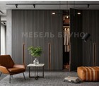 Шкаф Мерида   — фото интерьера