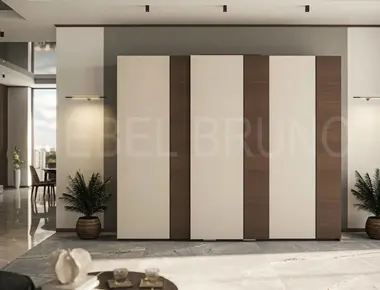 Шкаф-купе Делли