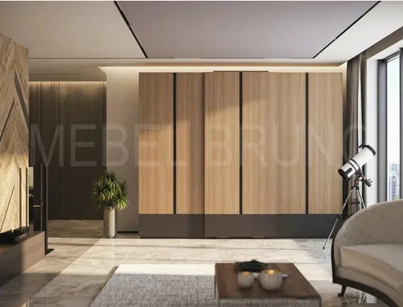 Шкаф-купе Феликс