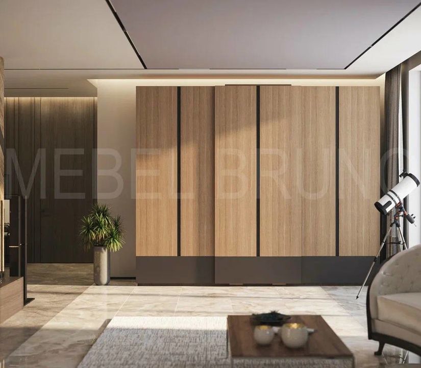 Шкаф-купе Феликс 