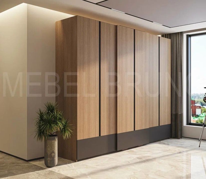 Шкаф-купе Феликс 