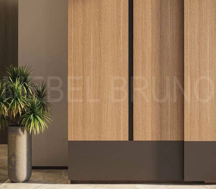 Шкаф-купе Феликс 