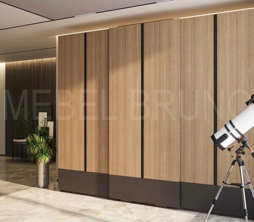 Шкаф-купе Феликс 