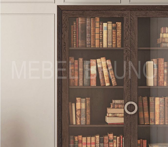 Книжный шкаф Оллин