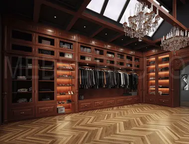 Гардеробная Даная