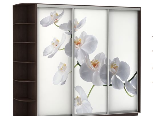 Шкаф-купе Трио В с фотопечатью «Орхидея» и боковым терминалом 2400