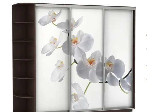 Шкаф-купе Трио В с фотопечатью «Орхидея» и боковым терминалом 2400