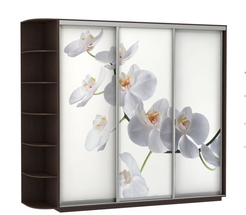Шкаф-купе Трио В с фотопечатью «Орхидея» и боковым терминалом 2400