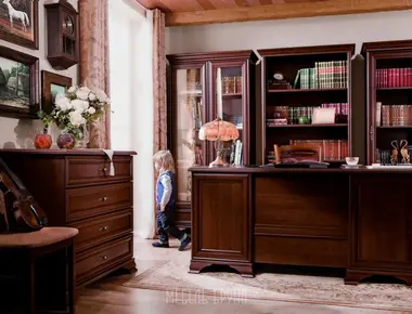 Кабинет Платон