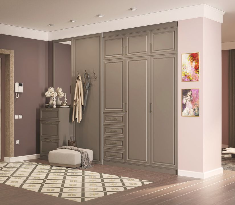 Шкаф в прихожую Демерг