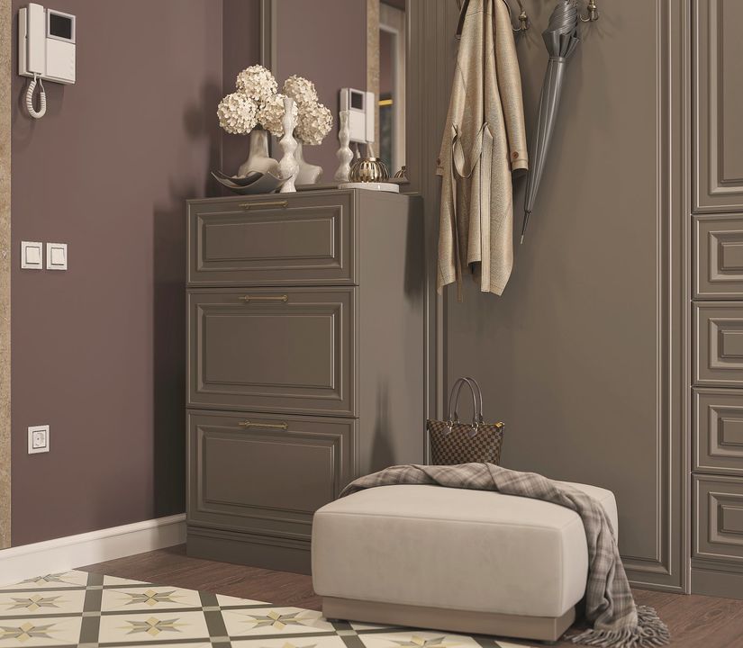 Шкаф в прихожую Демерг