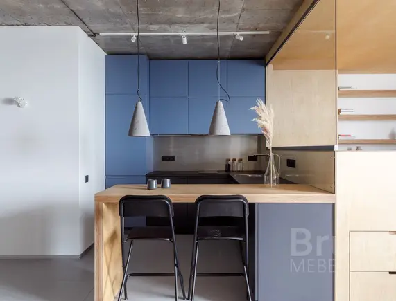 Кухня Камелия