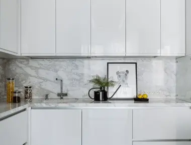 Кухня Сенецио