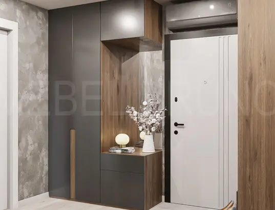 Прихожая Anri