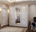 Шкаф-купе Нарния — фото 2