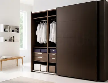 Шкаф-купе Дели