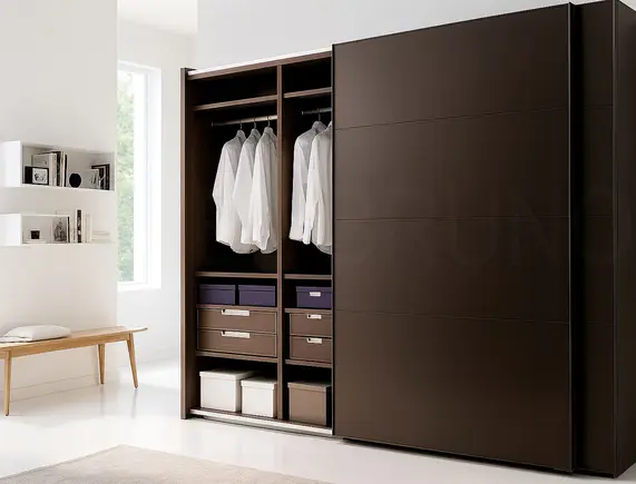 Шкаф-купе Дели