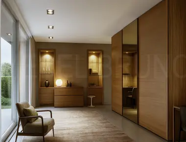 Шкаф-купе Теамо