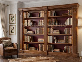 Стеллаж для книг Делис
